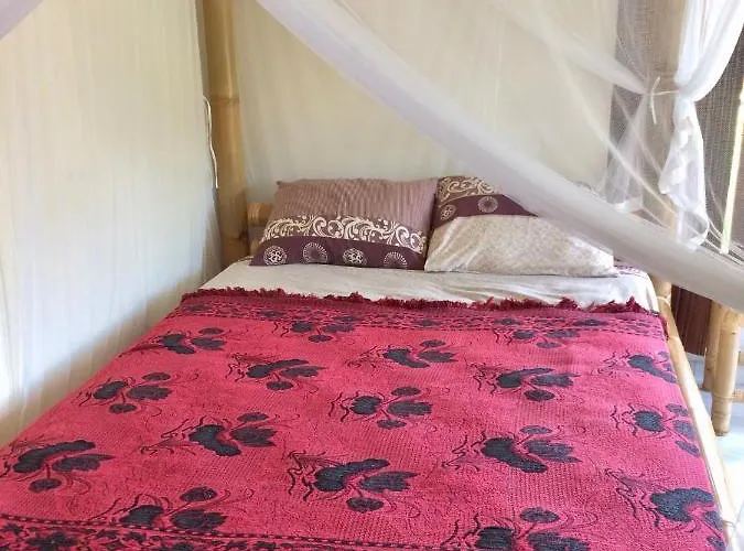 Danu Guest house Ubud (Bali)