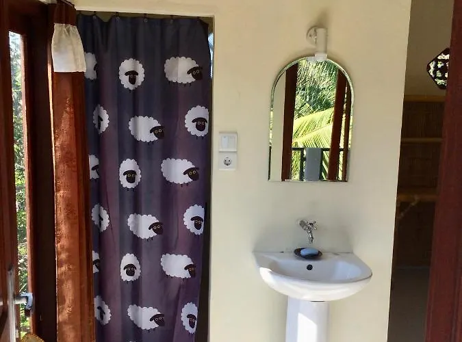Danu Guest house *