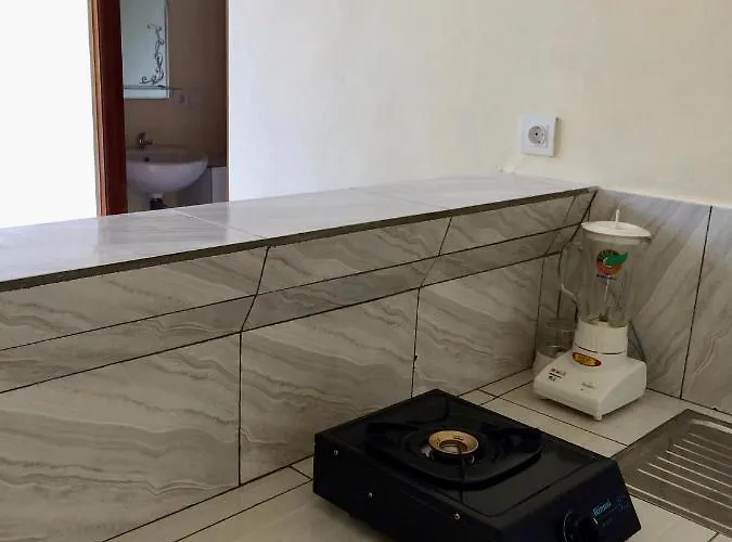 Danu Guest house Ubud (Bali)