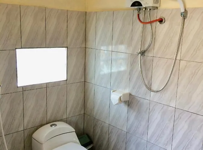 Danu Guest house *
