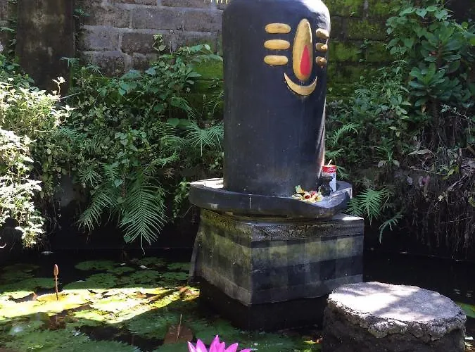Danu Ubud (Bali)